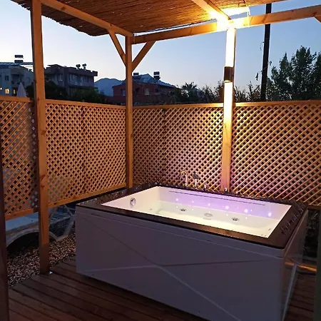 Lemon Tiny House Villa *